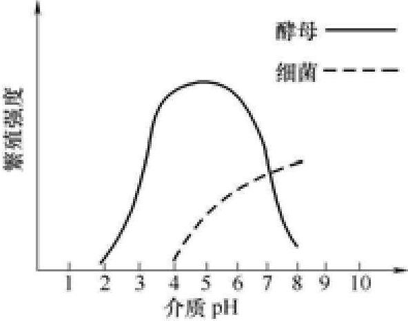 一、酒母種類和特點